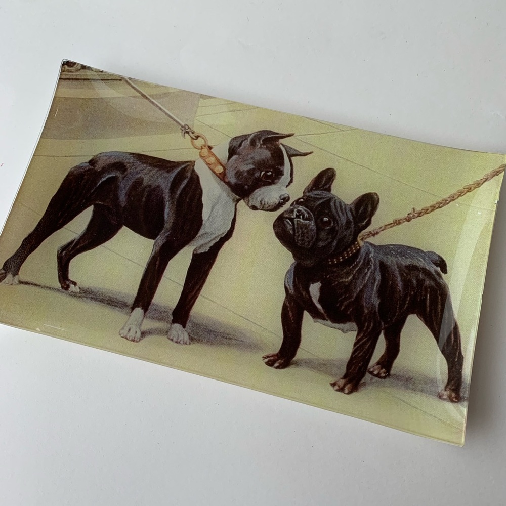 Boston terrier/French bulldog jewelry dish